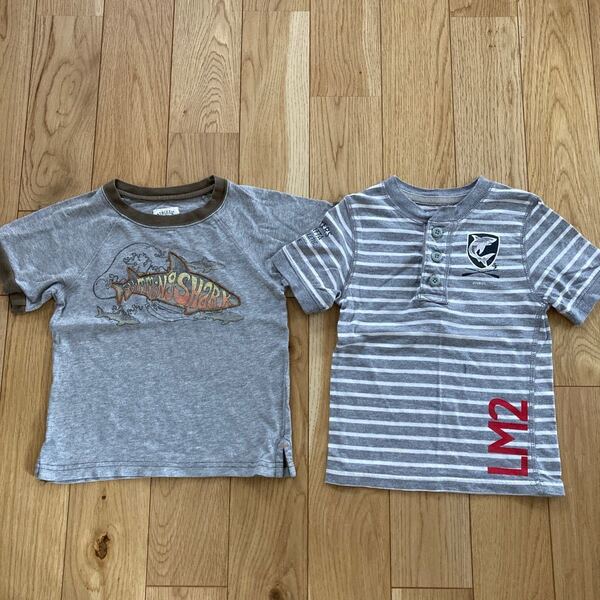 ギャップ 半袖Tシャツ ヘンリーネック ボタンシャツ 魚 サメ シャーク グレー ボーダー 100 GAP キッズ