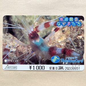 【使用済】 レインボーカード 大阪市交通局 海遊館のなかまたち オトヒメエビ