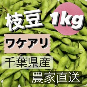 枝豆　ワケアリ　1kg 千葉県産　農家直送