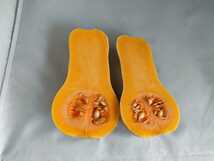 バターナッツかぼちゃパウダー60g(農薬化学肥料不使用)_画像5