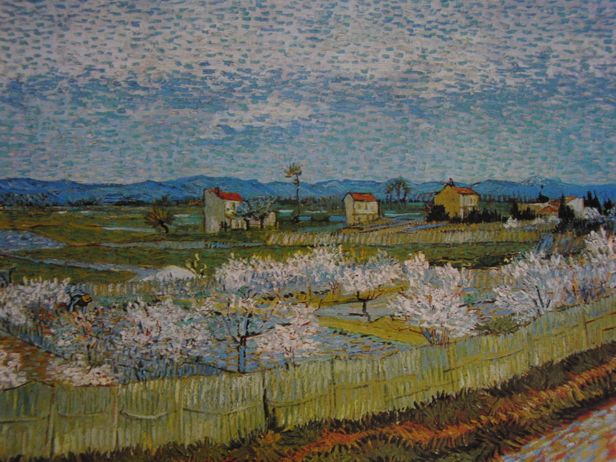 Vincent van Gogh, [Pfirsich in voller Blüte, Arles], Aus einem seltenen gerahmten Kunstbuch, Guter Zustand, Ganz neu mit Rahmen, Vincent Willem van Gogh, Malerei, Ölgemälde, Natur, Landschaftsmalerei