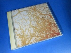 316■LOVE / Ryuichi Kawamura VICL60151