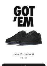 NIKE UNDEFEATED Dunk Low SP 5 ON IT_画像1