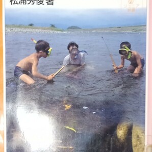 ◇☆岩波ジュニア新書!!!◇☆「川に親しむ」!!!◇☆松浦秀俊著!!!◇*除籍本◇☆*Ｐｔクーポン消化に!!!◇☆*送料無料!!!