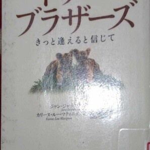 ◇☆評論社!!!◇☆「トゥー・ブラザーズ」きっと逢えると信じて!!!◇☆岡田好惠訳!!◇除籍本◇☆ポイントorクーポン消化に!!!