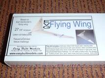 《グライダー》JETEX製 EVG Flying Wing(L/C仕様)（翼長：27.4”=695mm）・・・残り1_画像1