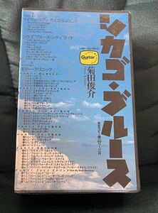 シカゴブルース　菊田俊介　バディガイ　ブルースシティ　ギタークリニック　未開封　VHS 送料込