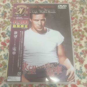 欲望という名の電車 DVD