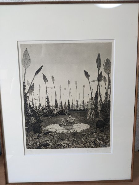 Signed/Signed Akira Baba Habitat Limited 6/40 Copperplate Print/Painting/Still Life Painting/Natural Object/Art/Fine Art/Art/Framed: No. 6/Fukuoka Prefecture/Width: Approx. 31cm x Height: Approx. 39cm/Z320987, artwork, print, copperplate print, etching