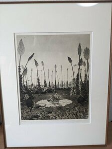 Art hand Auction サイン入/署名入 馬場章 棲息 限定6/40 銅版画/絵画/静物画/自然物/アート/美術/芸術/額装:6号/福岡県/幅:約31cm×高さ:約39cm/Z320987, 美術品, 版画, 銅版画, エッチング