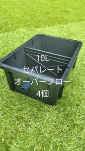 メダカ飼育ボックス　仕切りあり　１０L　4個　オーバーフロー機能