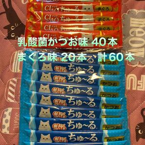 乳酸菌入り かつお 40本 まぐろ味 20本 計60本
