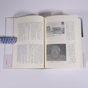 アマゾン文明の研究 古代人はいかにして自然との共生をなし遂げたのか 実松克義 現代書館 2010 単行本 歴史 世界史 古代史 モホス文明の画像9