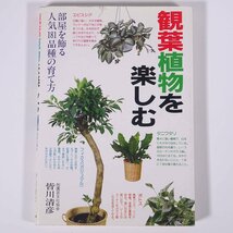 観葉植物を楽しむ 部屋を飾る人気181品種の育て方 皆川清彦 永岡書店 1989 単行本 図版 図録 園芸 ガーデニング 植物_画像1