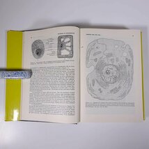 【英語洋書】 Textbook of BIOCHEMISTRY 生化学のテキスト 第9版 HARROW ハローほか著 1966 大型本 生物学 化学_画像8