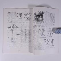 山草 36号 愛媛山草同好会 1997 小冊子 表紙絵・西野太郎 郷土本 植物 野草 草花 ソバの周辺 シコクカッコウソウ パフィオの育種 ほか_画像7