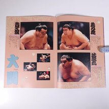 平成九年 大相撲春巡業 パンフレット 日本相撲協会 1997 小冊子 横綱・貴乃花/曙 大関・若乃花/武蔵丸/貴ノ浪 前頭・小錦 ほか_画像9