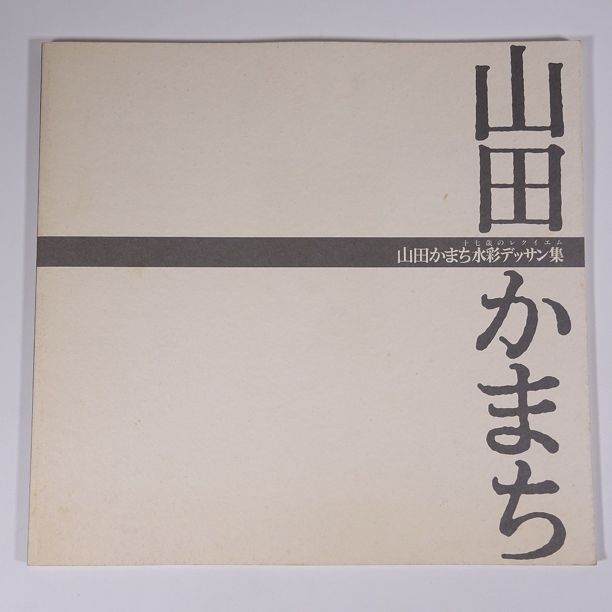 山田かまち水彩デッサン集 十七歳のレクイエム 群馬県高崎市 山田かまち水彩デッサン美術館 1992 大型本 図版 図録 絵画 画集 作品集, 絵画, 画集, 作品集, 画集