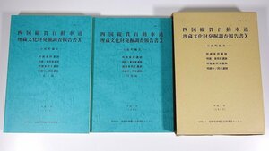 四国縦貫自動車道 埋蔵文化財調査報告書Ⅹ 小松町編Ⅲ 愛媛県 埋蔵文化財センター 1995 大型本 郷土本 考古学 遺跡 遺構 遺物 図版