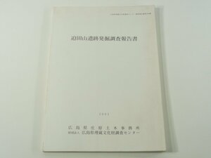 迫田山遺跡発掘調査報告書 広島県庄原土木事務所 2001 位置と環境 調査の概要 遺構と遺物 図版 ほか