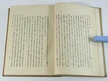 近代浪漫主義 成瀬無極 二松堂 大正十一年 1923 古書 国家問題 芸術問題 宗教問題 恋愛問題 人格論 グラツペ レナウの世界観 自殺と情死_画像8