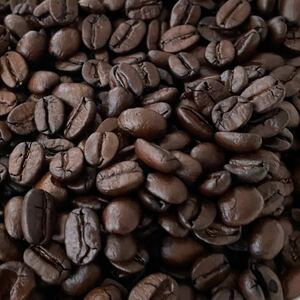自家焙煎 エチオピア モカ 100g 注文後焙煎 YHR-COFFEE 豆のまま コーヒー豆 ギフト プレゼント コーヒー 友達