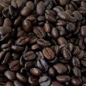 自家焙煎 コスタリカ ハニー 100g 注文後焙煎 YHR-COFFEE 豆のまま コーヒー豆 ギフト プレゼント 父の日 珈琲