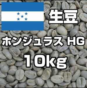 コーヒー生豆　ホンジュラス　10kg 【送料無料】