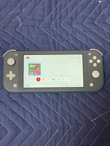 Nintendo Switch Lite グレー 本体のみ 動作品 美品