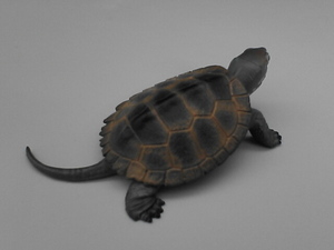 ヤフオク ゼニガメ 生き物 フィギュア の落札相場 落札価格 ヤフオク ゼニガメ 生き物 フィギュア の落札相場 落札価格