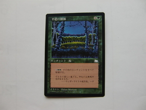 バイン　MTG 平穏の樹林/Tranquil Grove 日本語1枚