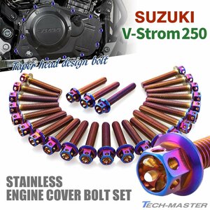 Vストローム250 V-Strom エンジンカバー クランクケース ボルト 25本セット ステンレス製 フラワーヘッド 焼きチタンカラー TB9031