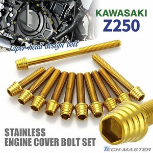 Z250 ER250 エンジンカバーボルト 11本セット ステンレス製 テーパーシェルヘッド カワサキ車用 ゴールドカラー TB8052