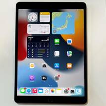 (美品) Apple SIMフリー iPad Air (第3世代) スペースグレイ 256GB MV0N2J/A Wi-Fi+Cellular アクティベーションロック解除済_画像1