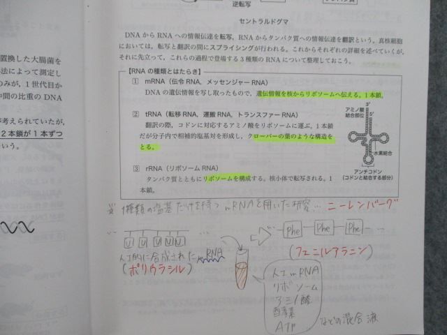 鉄緑会 高2生物 生物基礎講座 テキストと問題集 おまけ配布プリント オンラインストア取寄 | shodaikini.com