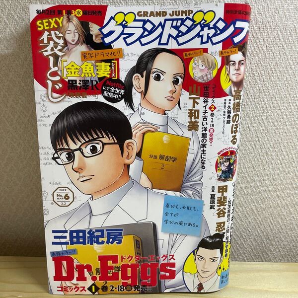 グランドジャンプNo.6 袋とじ 金魚妻 未開封