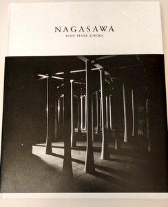 【長澤英俊-オーロラの向かう所】重力の真理に触れるために/作品目録1997-2009/イデアとポエジー