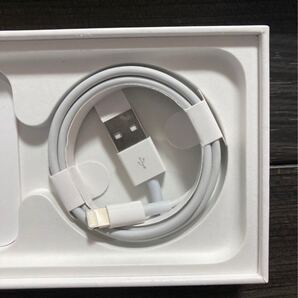 iPhone充電ケーブル