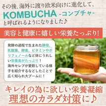 コンブチャ (グレープフルーツ味2箱)5g×30p Kombucha 発酵紅茶 パウダータイプ_画像5