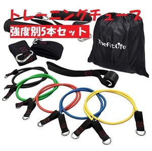 トレーニングチューブ 【新品】 フィットネス ダイエット トレーニング エクササイズ 強度別5本セット【トレーニング用品】