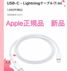 新品　エアーポッズプロ　ライトニングケーブル　 USB-C Apple 電源ケーブル　Lightning