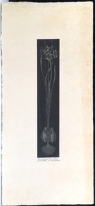 真作保証品『柄澤齊 オリジナル木口木版画 Narcissus Tazetta Ep d’artiste』昭和49年 直筆タイトル・エディション・サイン入
