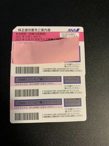 ANA 株主優待券 3枚 有効期限(2023/5/31)