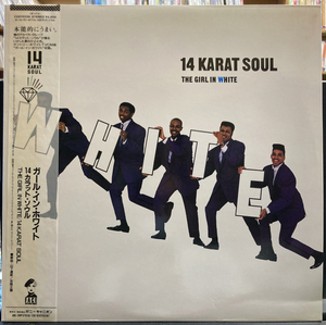 14カラット・ソウル／ガール・イン・ホワイト 【中古LPレコード】 帯付き 解説：山下達郎 14 KARAT SOUL C28Y0336