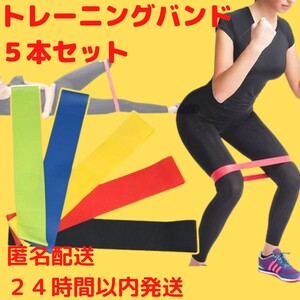 エクササイズ ヨガ 筋トレベルト 美尻 トレーニングベルト フィットネスチューブ トレーニング器具