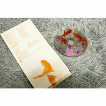 【邦楽CD】Leyona（レヨナ） 『Try To Fly/曖昧なんてイヤよベイビー』《サンプル盤》[CD-13794]_画像6