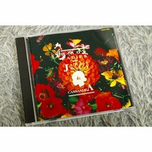 【洋楽CD】Janet Kay And Cassandra （ジャネットケイ/カサンドラ） 『D-Roy Ladies』[CD-14121]_画像1