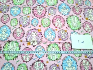 プリンセス 110*100 オックス ハンドメイド 生地 ハギレ