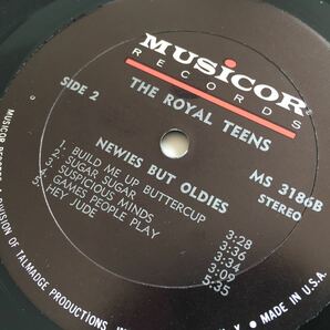 【69年US Origi】The Royal Teens / Newies But Oldies LP MUSICOR RECORDS MS3186 Sugar Sugar,Hey Jude,Rock And Roll Music,Proud Maryの画像6