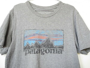 Patagoniaパタゴニア ビンテージロゴプリントTシャツS オーガニックコットンTシャツ